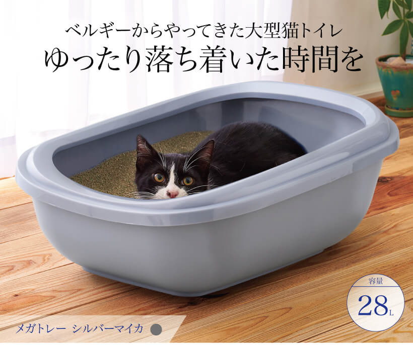 メガトレー シルバーマイカ