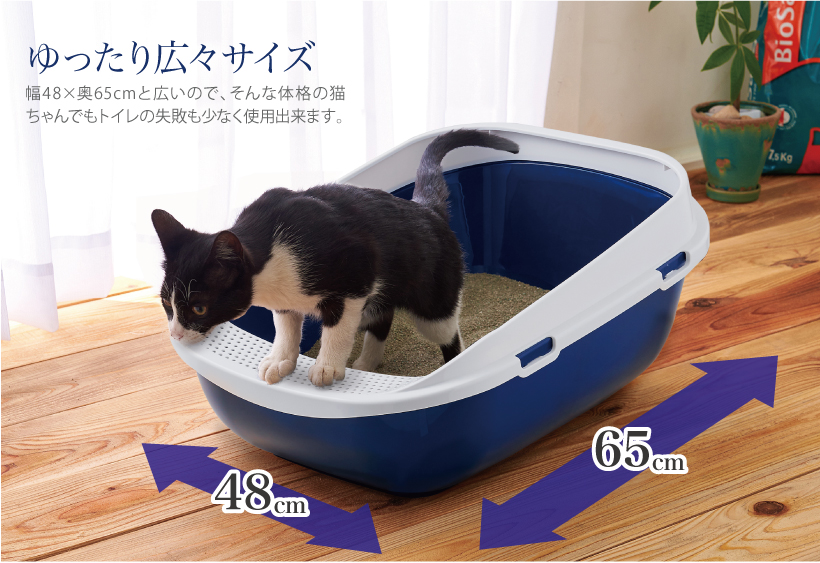 メガトレー ブルーベリー