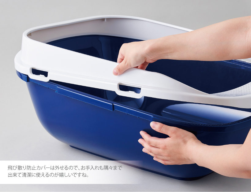 メガトレー ブルーベリー