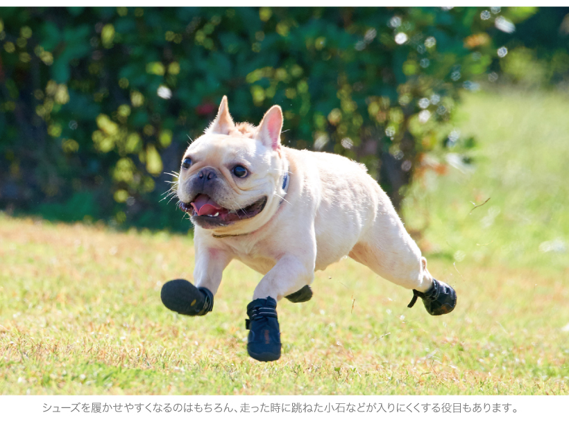 マットトラッカーズ