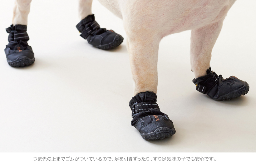 マットトラッカーズ