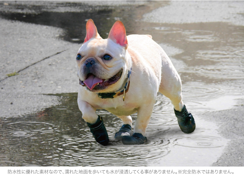 マットトラッカーズ