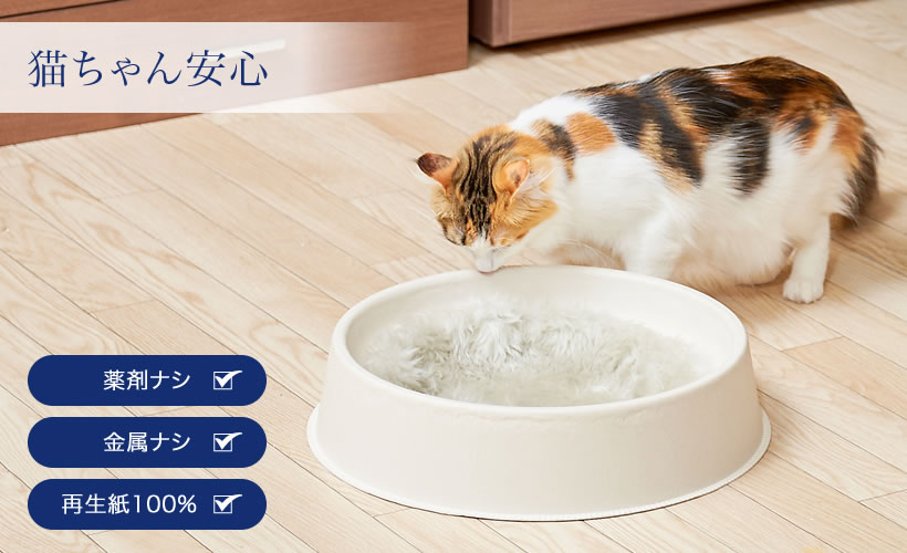 ねこ鉢