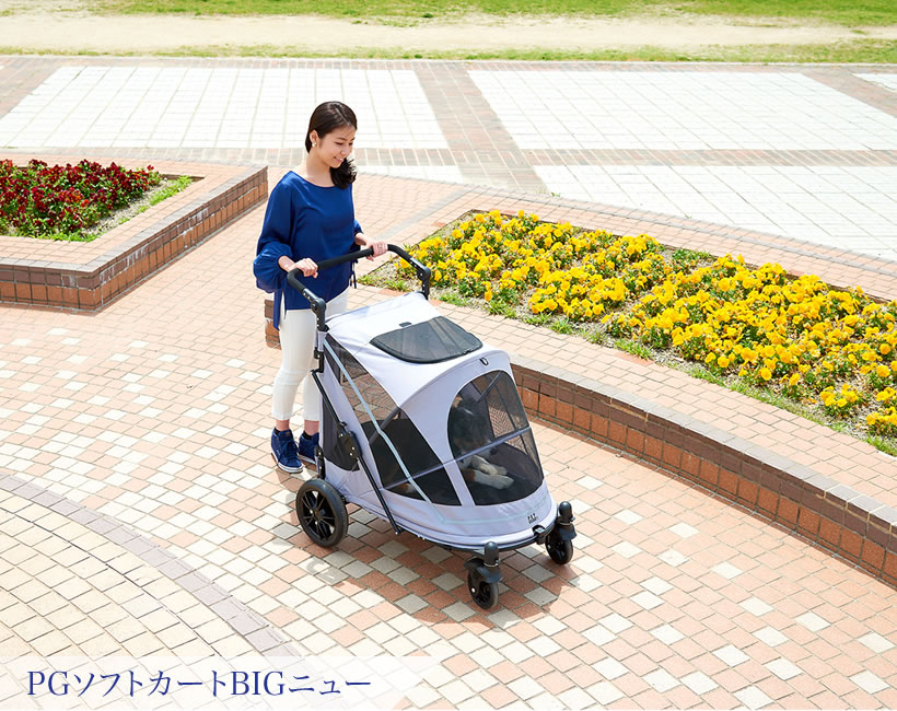 PGソフトカートBIGニュー