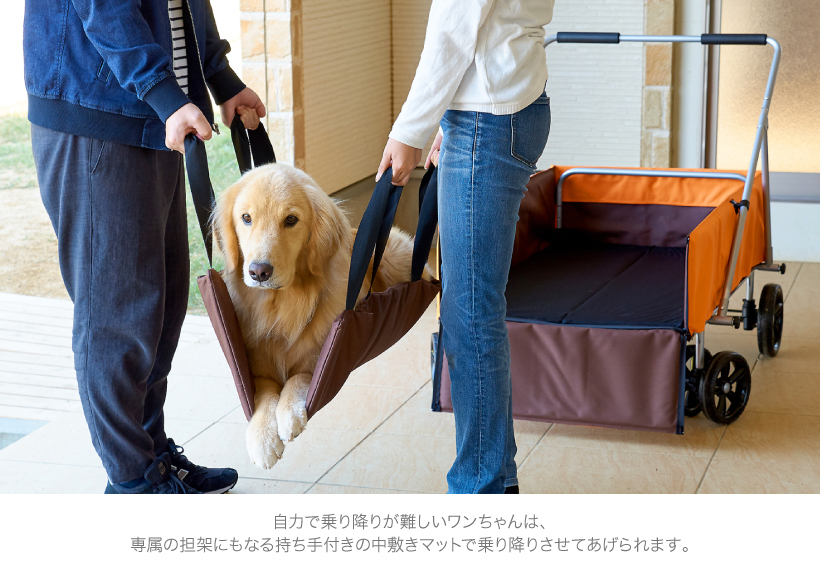 持ち手付き中敷きで犬を運ぶ男女