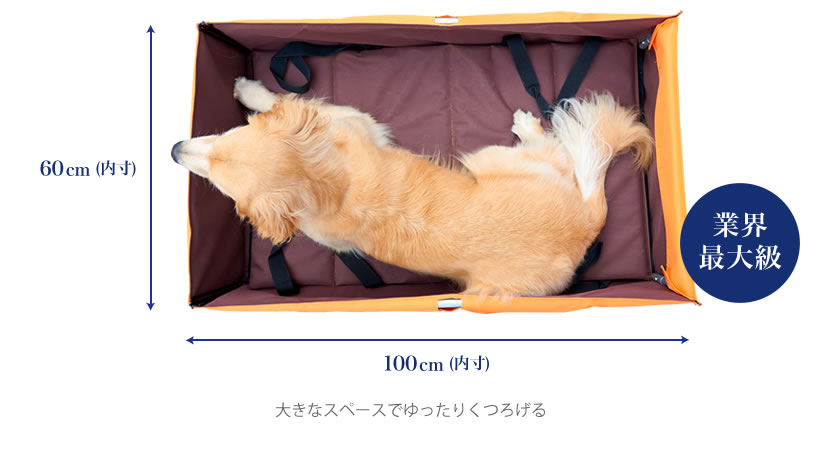 内寸60cm×100cm