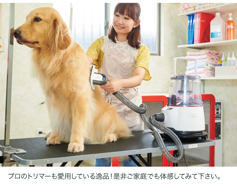 OFT DOG CLEANER