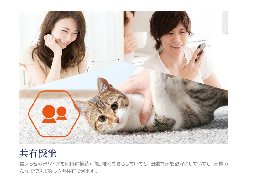 パウボ プラス