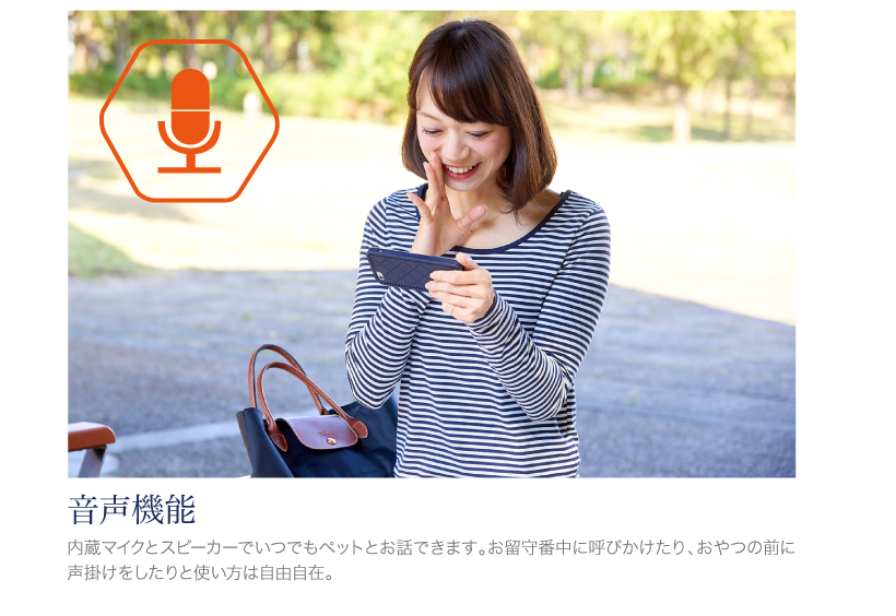 パウボ プラス