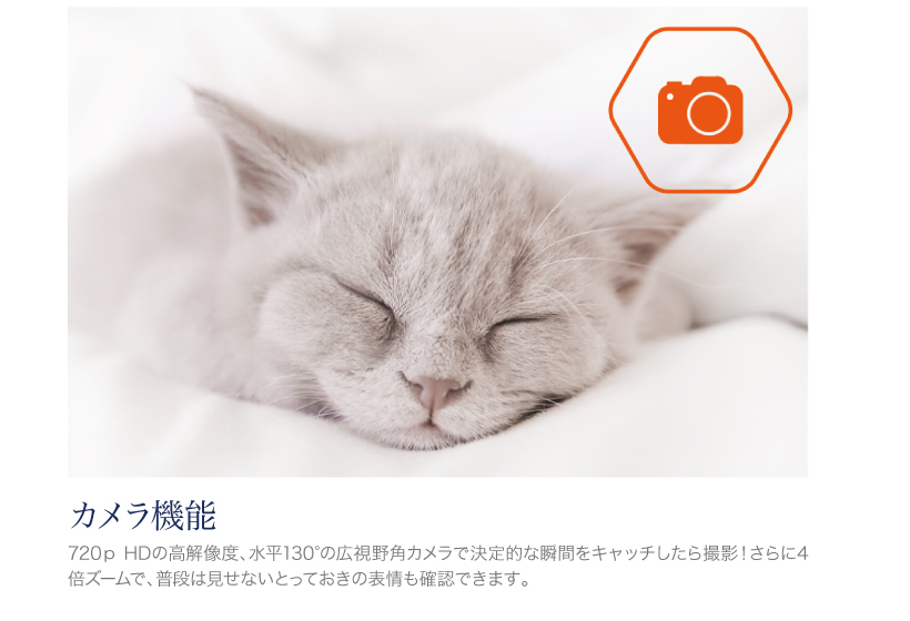 パウボ プラス