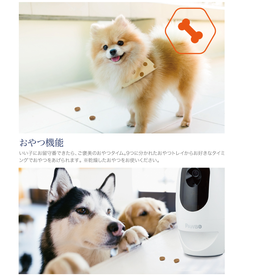パウボ プラス