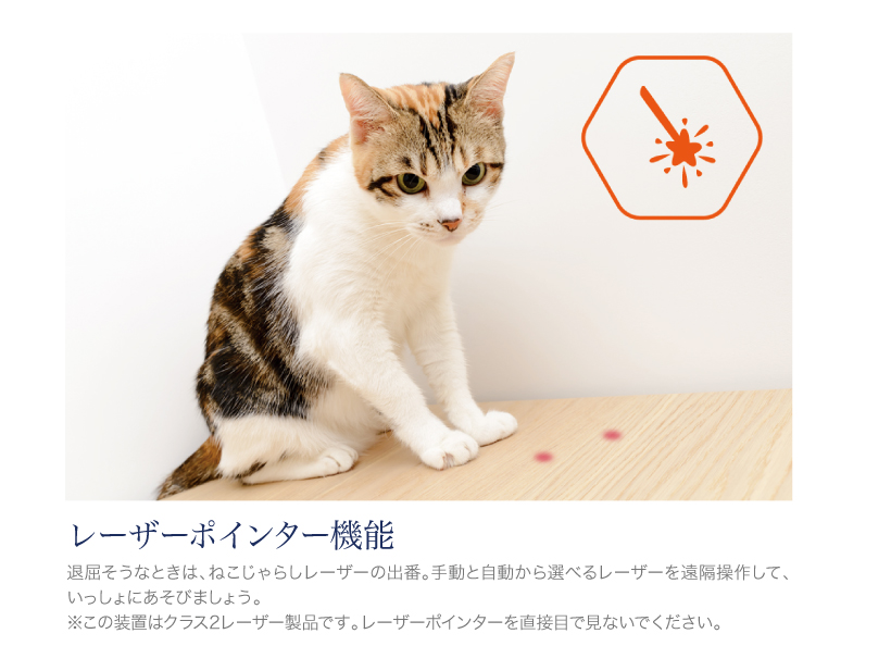 パウボ プラス