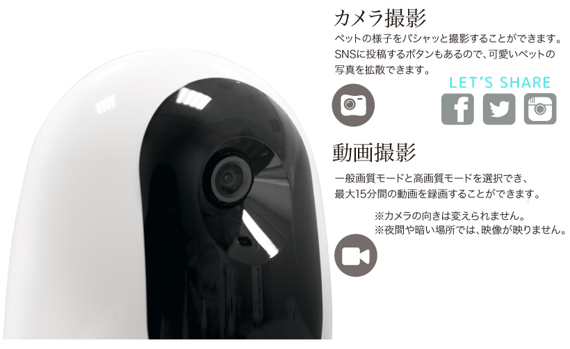 パウボ プラス