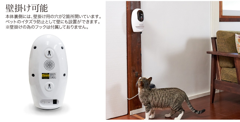 パウボ プラス