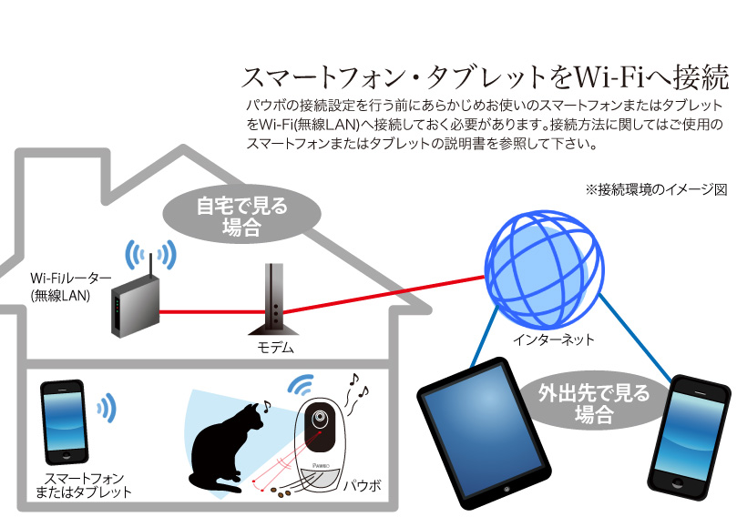 パウボ プラス