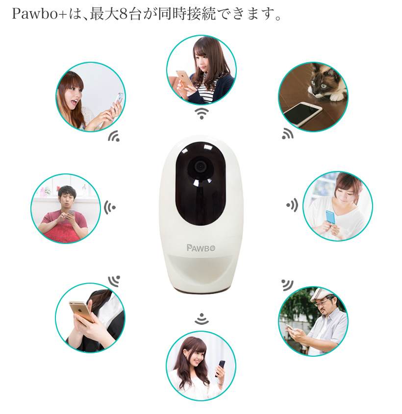 Pawbo+(パウボプラス)