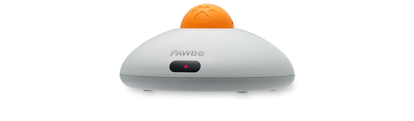 Pawbo Catch