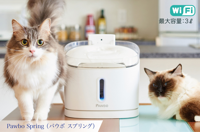 Pawbo Spring(パウボ スプリング)