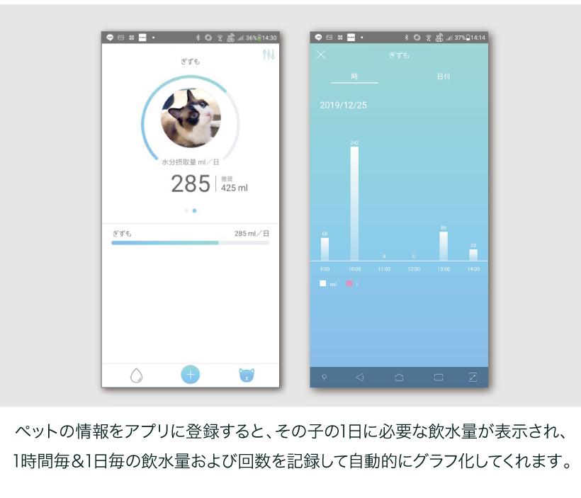 Pawbo Spring(パウボ スプリング)