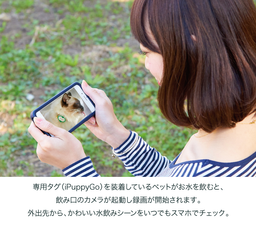 Pawbo Spring(パウボ スプリング)