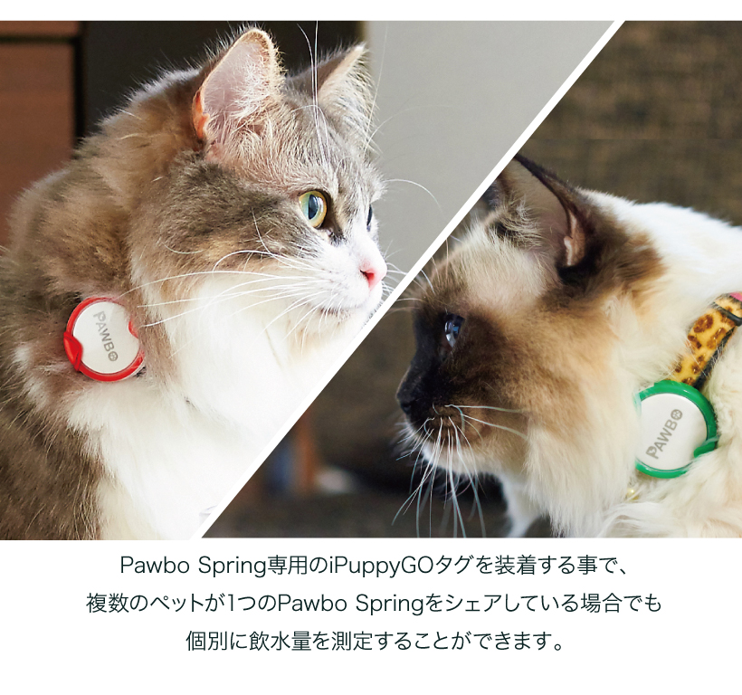 Pawbo Spring(パウボ スプリング)専用タグ iPuppyGo