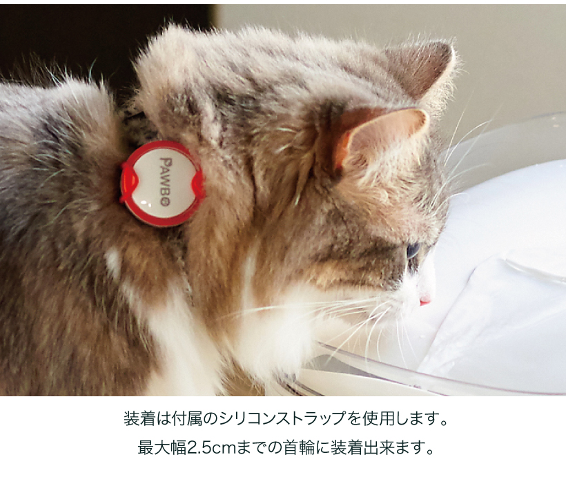 Pawbo Spring(パウボ スプリング)専用タグ iPuppyGo