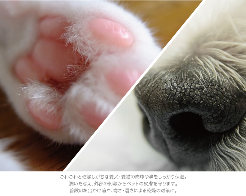 Paw magik