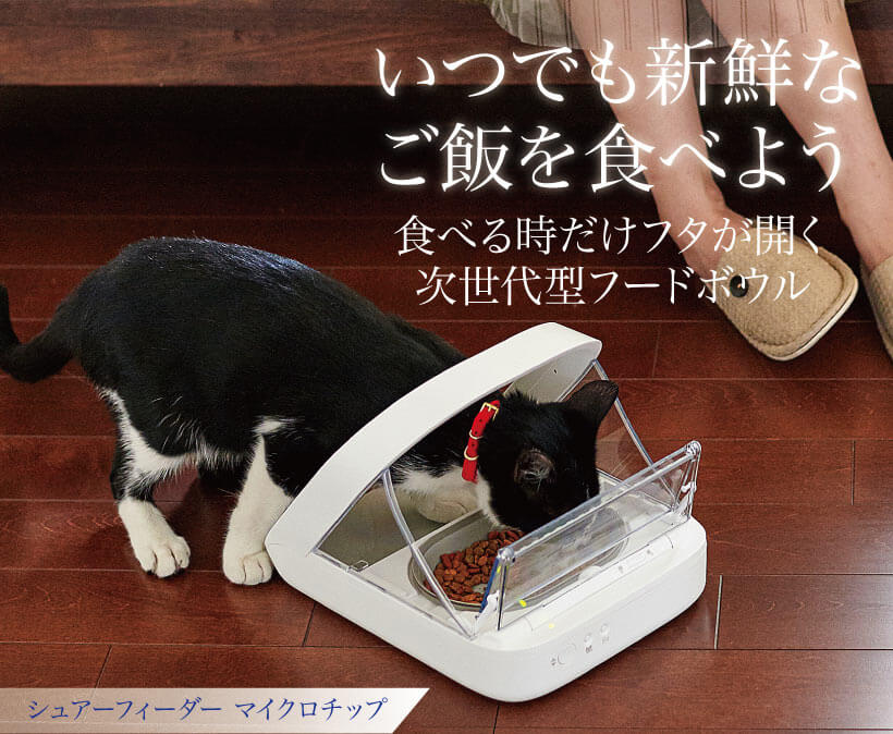 シュアーフィーダー