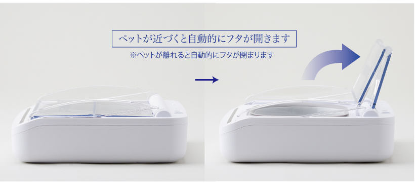 シュアーフィーダー