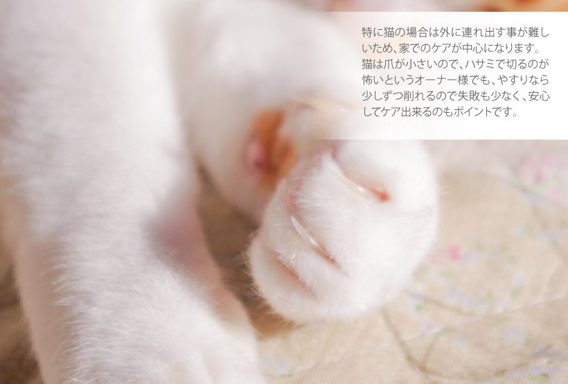 ペット用電動爪やすり ムーンネイル