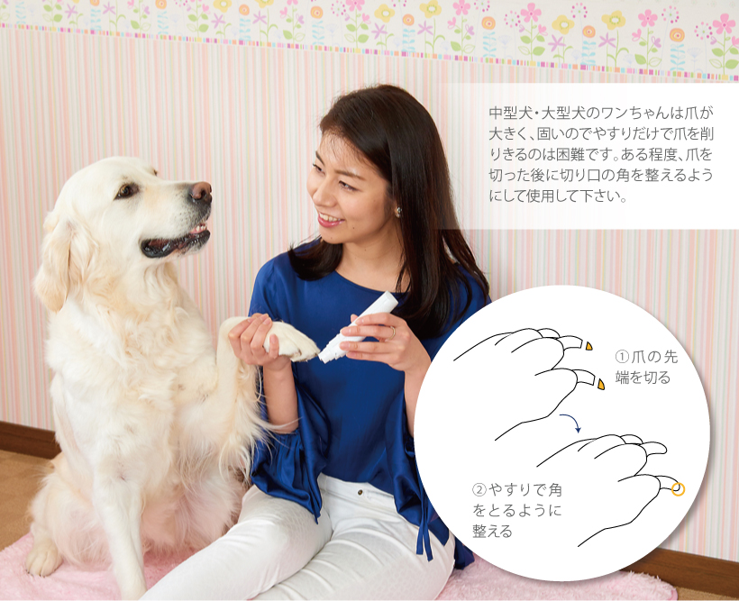 ペット用電動爪やすり ムーンネイル