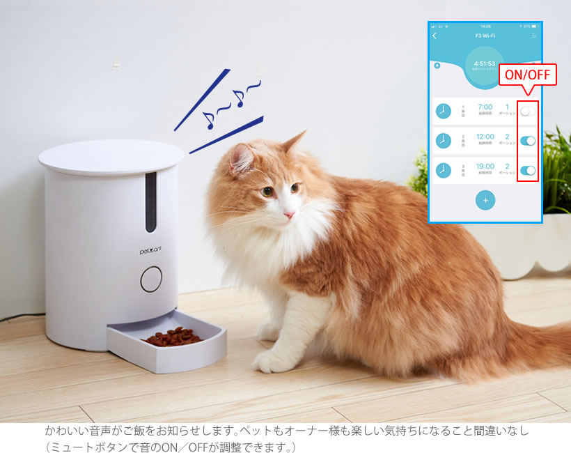 自動給餌器