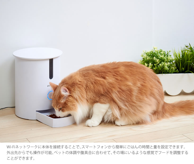 自動給餌器