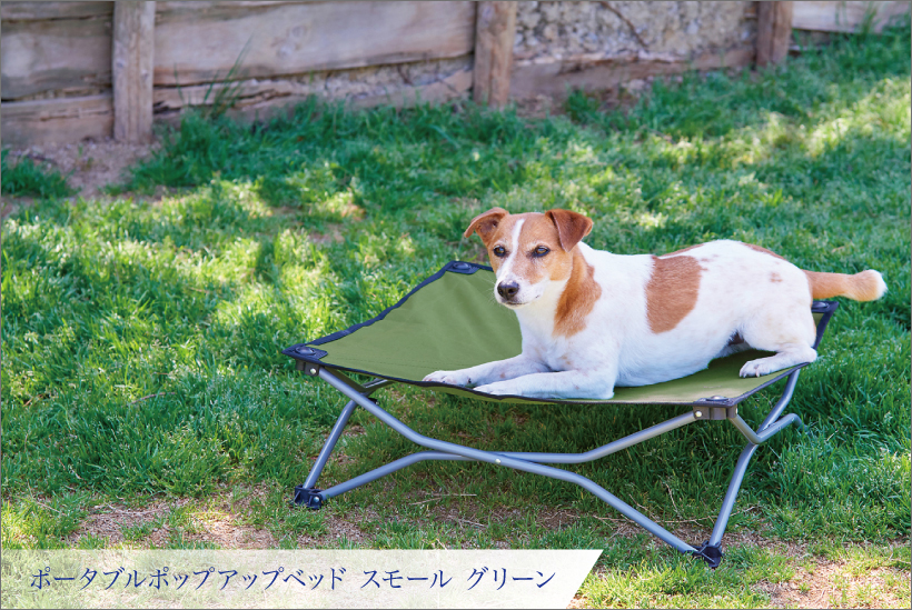 ポップアップベッド スモール グリーン