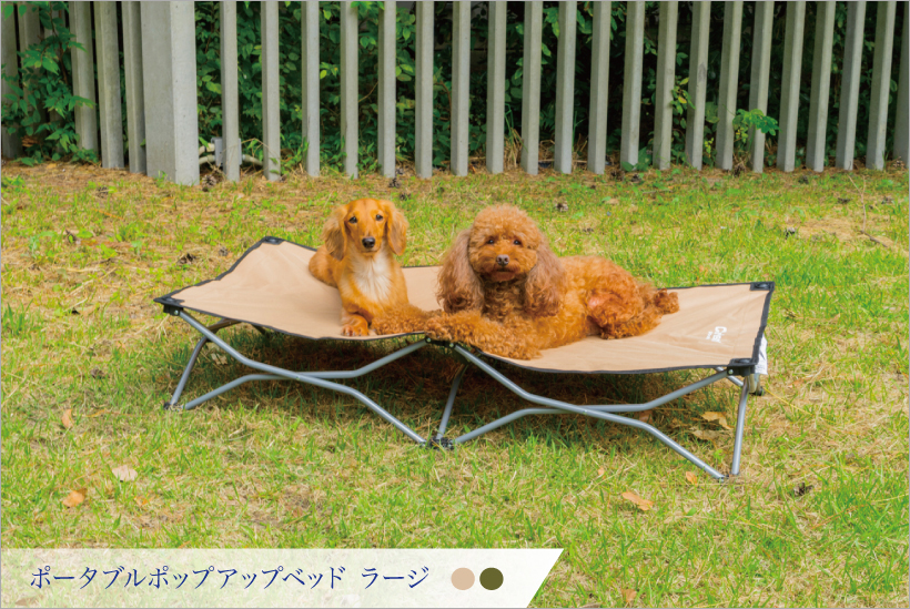 ポップアップベッド ラージ