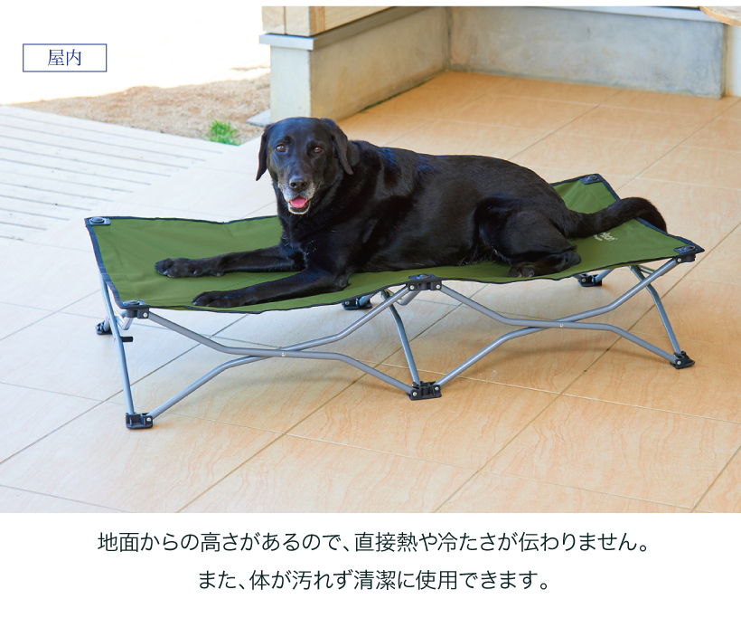 ポップアップベッド ラージ