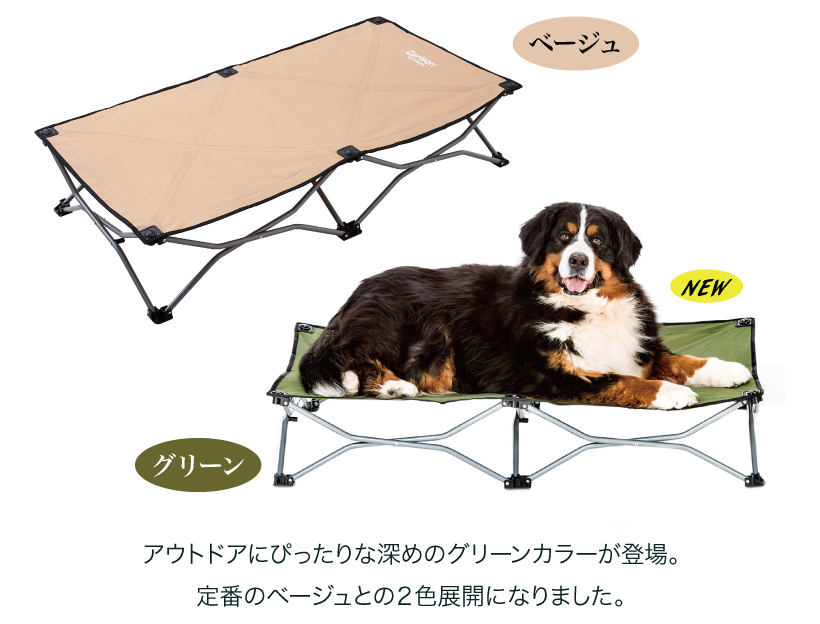 ポップアップベッド ラージ