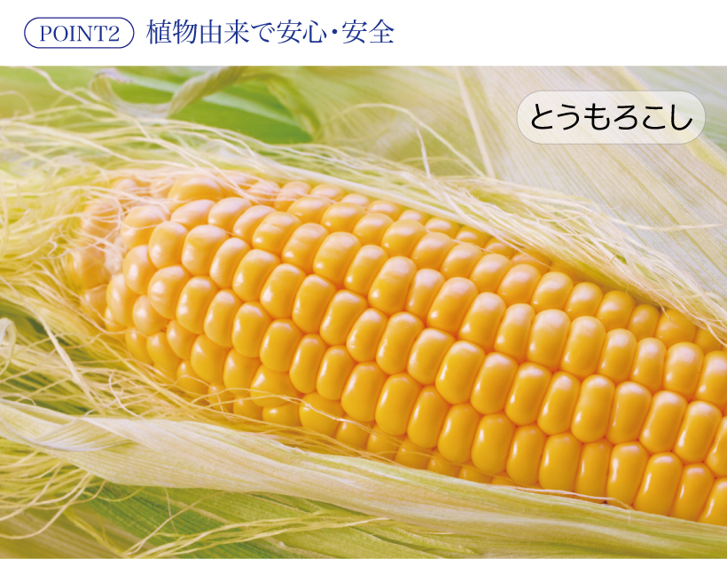 PULFINO(パルフィノ)