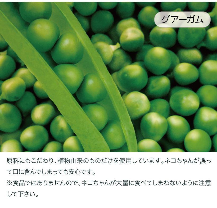 PULFINO(パルフィノ)