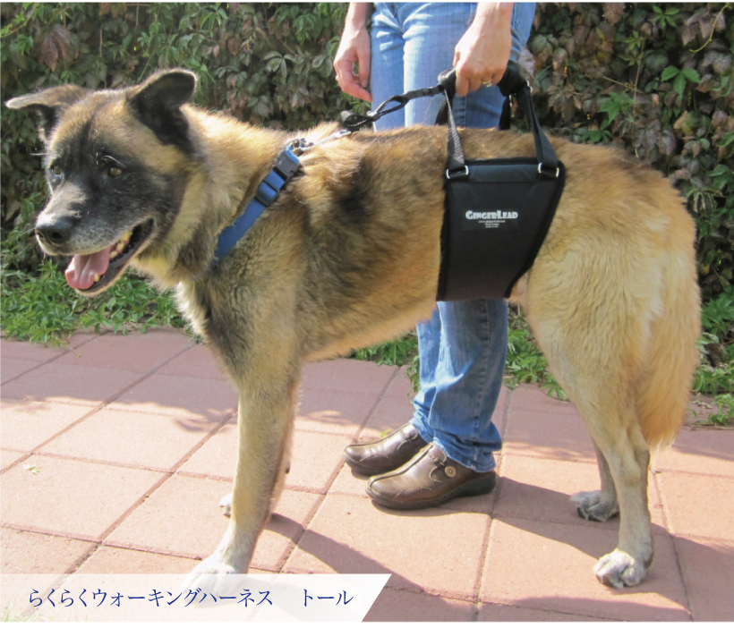 らくらくウォーキングハーネス