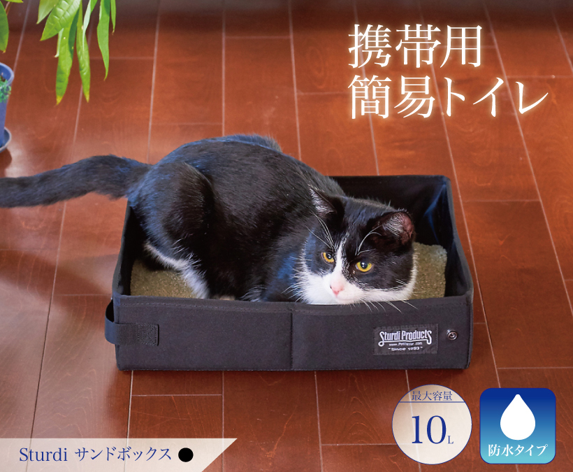 Sturdiサンドボックス