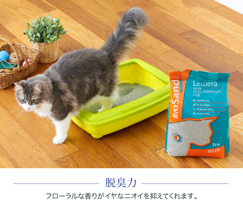 セリームバイオサンド グリーン