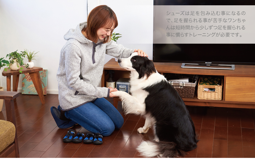 スノーマッシャーズ
