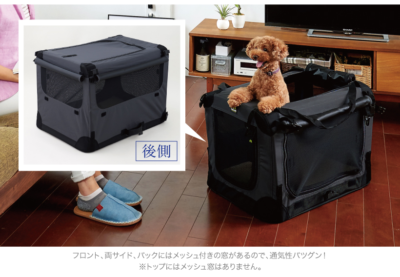ソフトケンネル