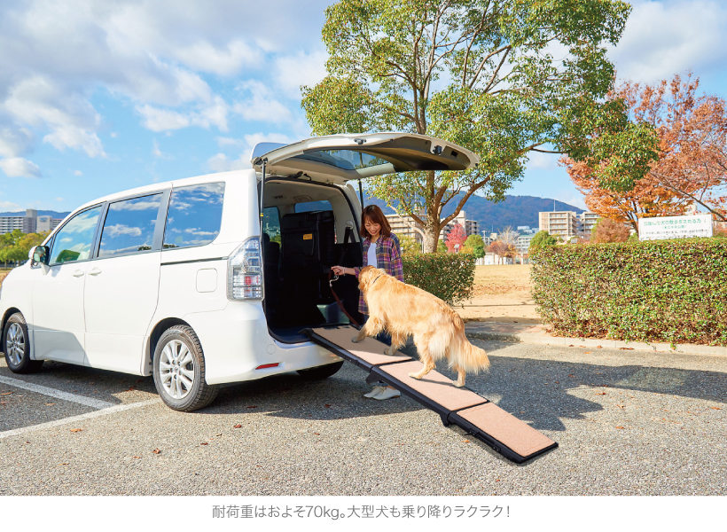 ペットステップワイドSupertraX