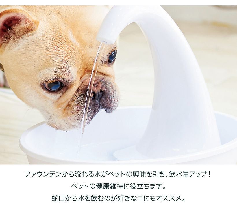 スワンファウンテン