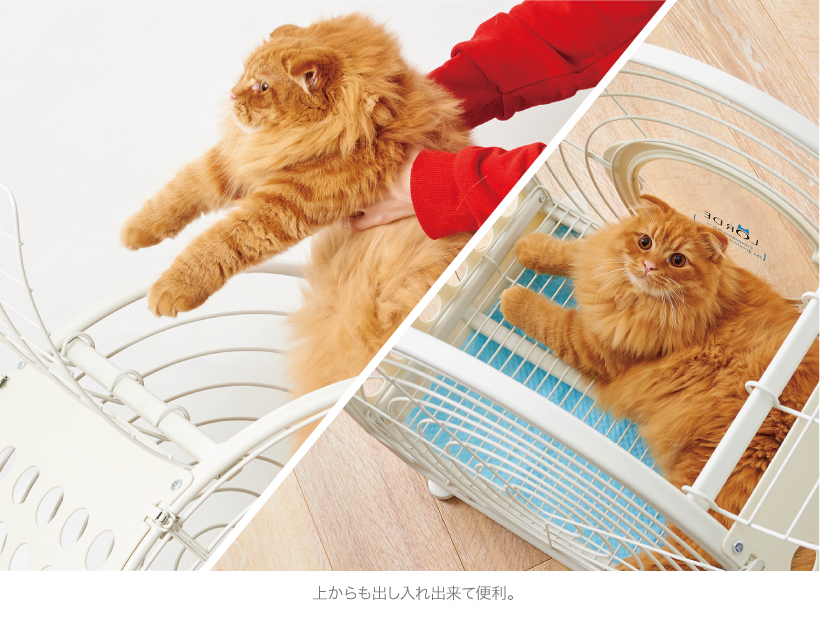 TIME TUNNEL PET CRATE