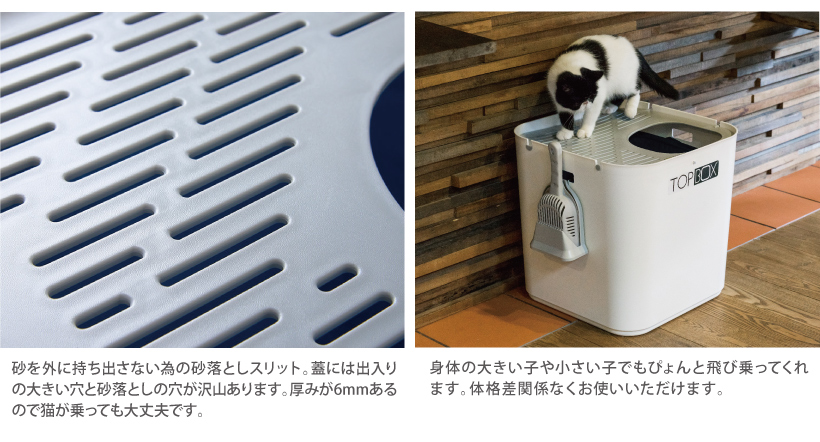 トップボックス スノーホワイト