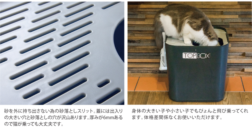 トップボックス アースブラック
