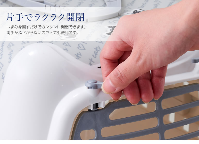 トレンディランナー キャットインラブ